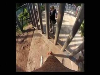 GoPro camera shows the world through an elephant's eyes