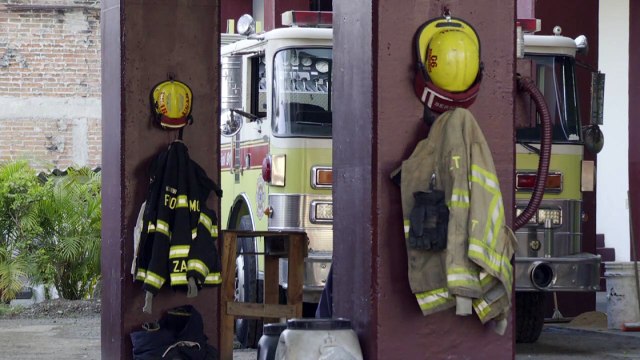 Se creará en Puerto Vallarta la Guardia Forestal | CPS Noticias Puerto Vallarta