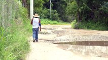 Inundaciones de Carretera 544 a Verde Vallarta dificultan circulación | CPS Noticias Puerto Vallarta