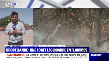 Incendie dans la forêt de Brocéliande: le feu est contenu