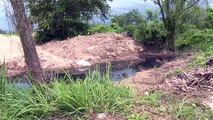 Aguas fétidas afectan a vecinos de Las Mojoneras y otras 3 colonias | CPS Noticias Puerto Vallarta
