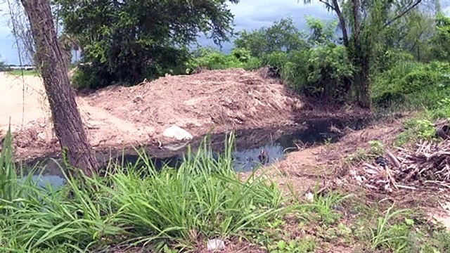 Aguas fétidas afectan a vecinos de Las Mojoneras y otras 3 colonias | CPS Noticias Puerto Vallarta