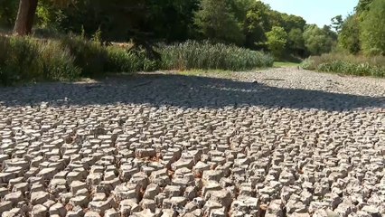 بريطانيا.. الحكومة تصنف لندن ومعظم أنحاء إنجلترا مناطق جافة