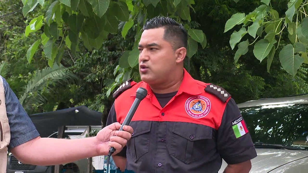 Protección Civil alerta sobre cocodrilos en playas de Vallarta | CPS Noticias Puerto Vallarta