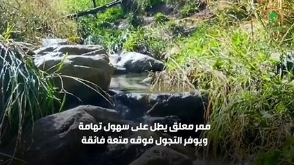 فيديو النماص عروس السحاب.. تضم عدة أماكن سياحية خلابة تدفعك لزيارتها. قناة_السعودية