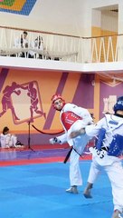 Taekwondo WTF Fight (6)