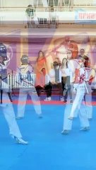 Taekwondo WTF Fight (9)