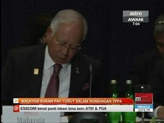 Malaysia bukan 'Pak Turut' dalam rundingan TPPA