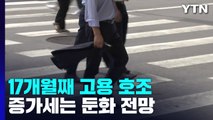 17개월째 고용 호조...증가세 둔화 전망 / YTN