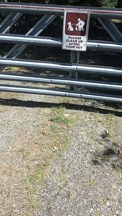 They Follow The Rules But Yet Create Their Own Rules 