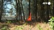 Bomberos franceses siguen combatiendo incendios a la espera de lluvias