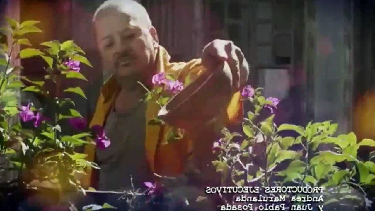 Lady la vendedora de rosas - Capitulo 52 Completo