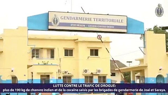 Mbour/Kédougou: La gendarmerie saisit plus de 190 kg de chanvre indien et de la cocaïne