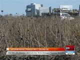 Laporan akhir tragedi MH17 Selasa ini
