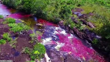 15 Most Dangerous Islands You Should Never Visit