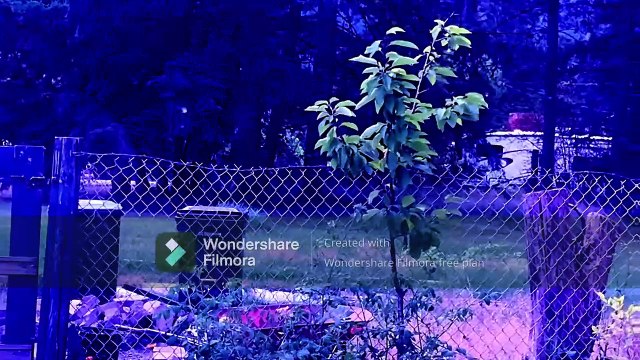 Baby Einstein: Thomas.exe Times Scarier (2022)