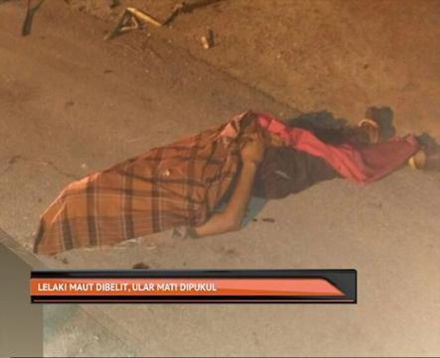 Lelaki maut dibelit, ular mati dipukul