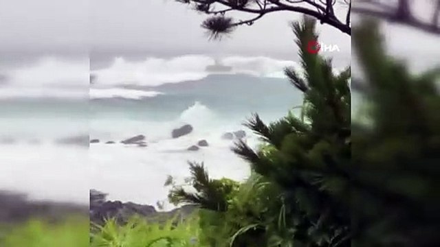 Japonya'da Meari Tayfunu alarmı