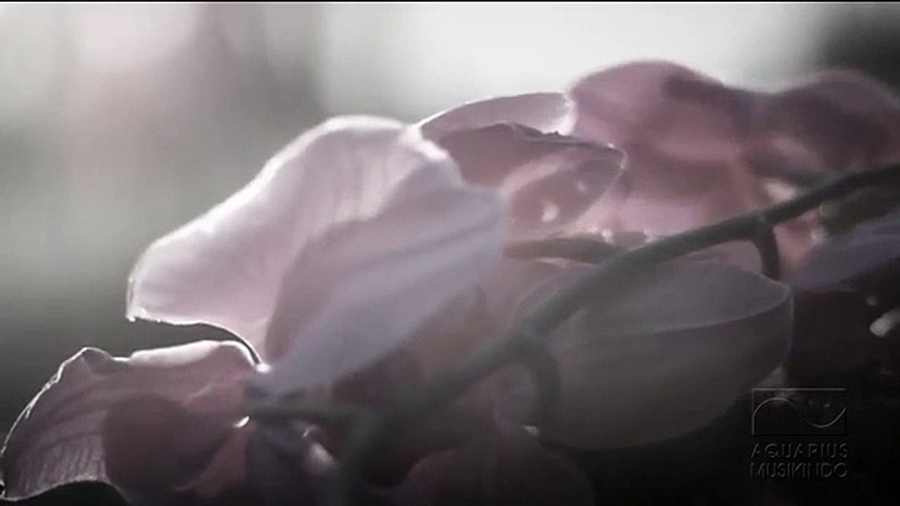 Bunga Citra Lestari - KuasaMu _ Official Video _