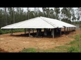 SHEEP AND GOAT FARMING - DIFFERENT TYPE OF SHEDS - PART 7-
