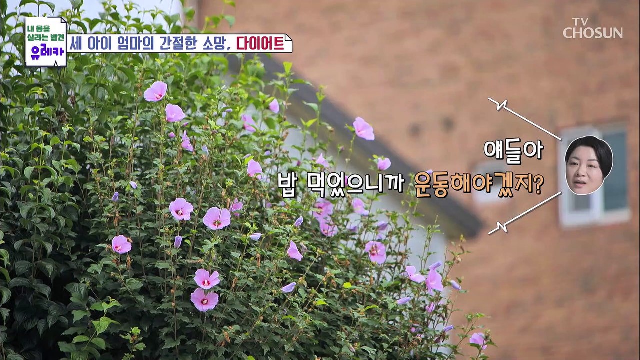 머리부터 발끝까지 전신을 위협하는 당뇨 합병증 TV CHOSUN 20220813 방송
