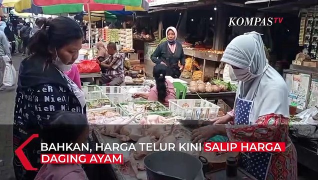 Harga Telur Salip Harga Daging Ayam di Madiun, Bansos Cair Diduga Jadi Penyebab