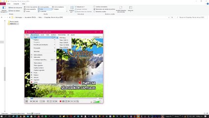 Import DVD to Sony Vegas and Adobe Premiere WITHOUT ENCODE CONVERT