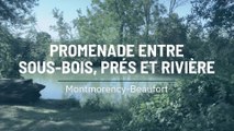 Promenade à Montmorency-Beaufort, entre sous-bois, prés et rivière