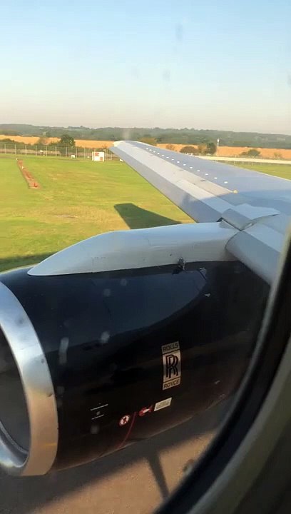Un pigeon bien décidé à rester sur l'aile de l'avion... même au décollage