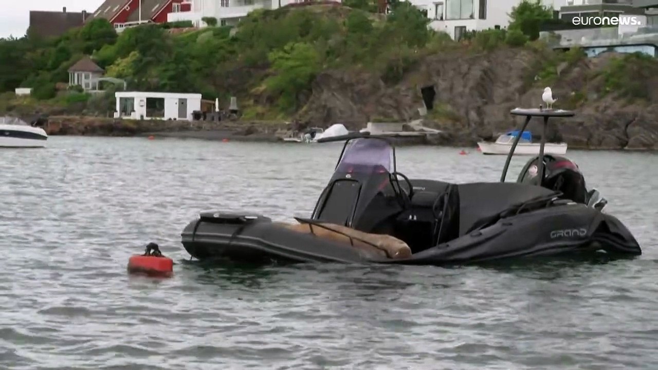 Traurige Nachricht aus Oslo: Walross Freya ist tot