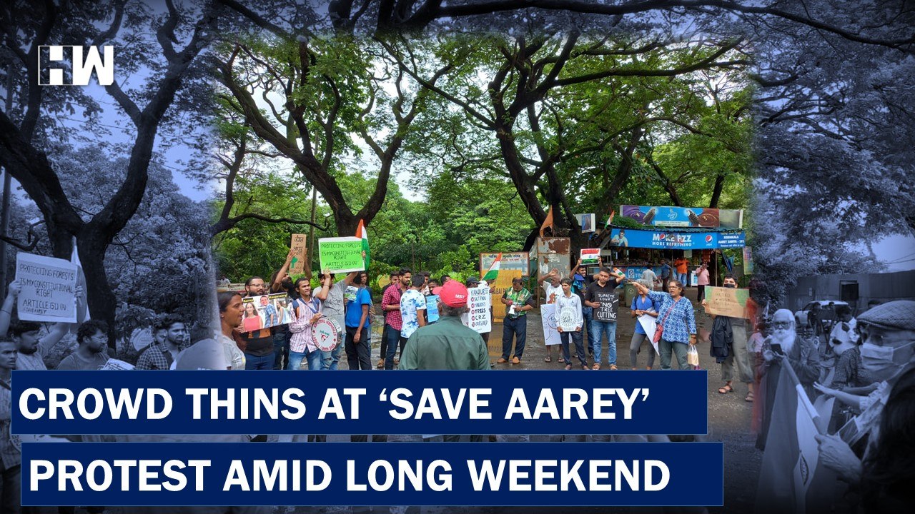 With Ongoing Long Weekend, Number Of Protestors In Aarey Shrinks  | Aarey Colony |