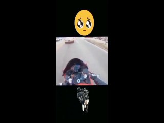 कमाल की वीडियो जिन्हें देखकर आप हैरान हो जाएंगे #Dailymotioncomedyvideo