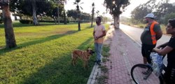 Antalya haberi! Antalya'da otluk alanda köpek tarafından bulunan cesedin kimliği belirlendi