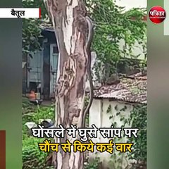 बैतूल :  ममता की मिसाल बनी छोटी सी चिड़िया