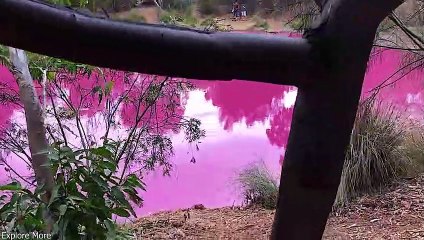 15 Things That You Will See For The First Time in Your Life