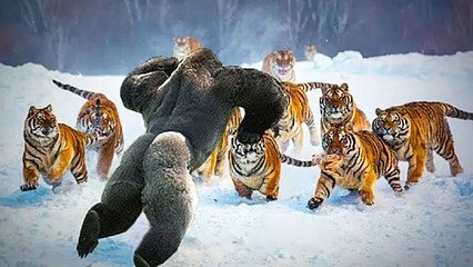 15 Most Powerful and Fearless Animals On The Planet