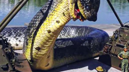 15 Shockingly Large Creatures that Actually Exist