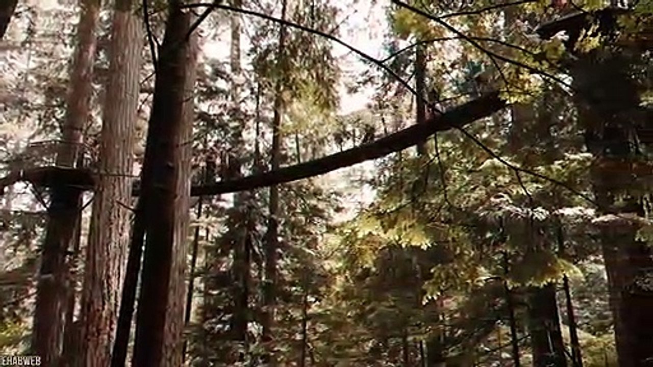 15 SCARIEST Bridges You Don't Want To Cross!