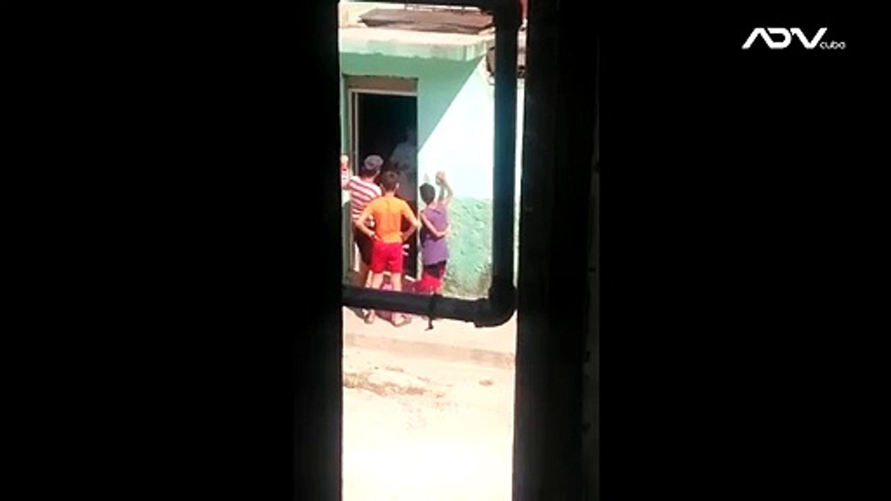 Usuarios en redes comparten imágenes de niños en la ciudad de Bayamo vendiendo aguacates en la calle.