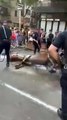 Horse pushing a carriage collapsed due the heat