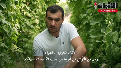 وسط أزمة الأسمدة... مزارع ألباني يستخدم تفل القهوة لتغذية أرضه