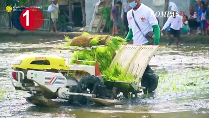 [TOP 3 NEWS] Indonesia Terima Penghargaan IRRI, Kecelakaan Maut Cianjur, Timnas U-16 Tiba di Jakarta