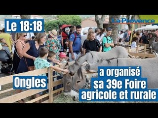 Ongles a organisé sa 39° Foire agricole et rurale