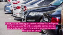 Avignon : deux bébés laissés seuls dans une voiture en plein soleil