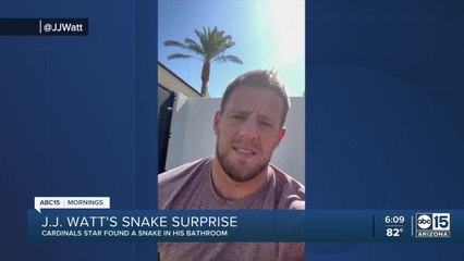 Arizona Cardinals star J.J. Watt finds rattlesnake in his bathroom