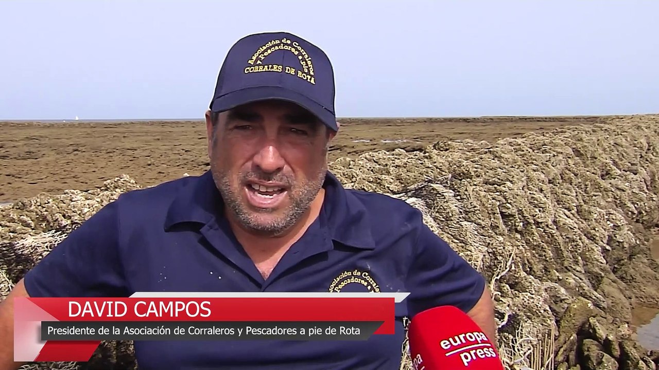 Los corrales de Rota esperan convertirse en Patrimonio de la Humanidad