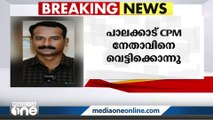 പാലക്കാട്ട് സിപിഎം പ്രാദേശിക നേതാവിനെ വെട്ടിക്കൊന്നു