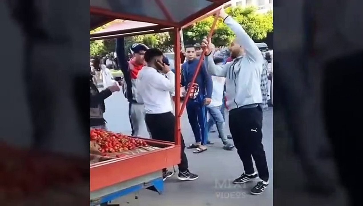TOTAL IDIOTS AT WORK