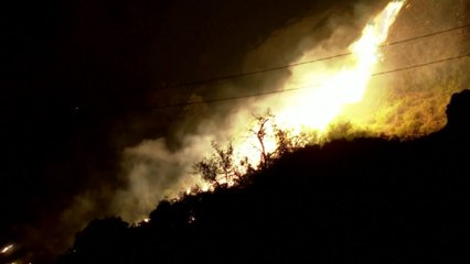 기후변화, 유럽 강타...불타고 목타는 여름 / YTN