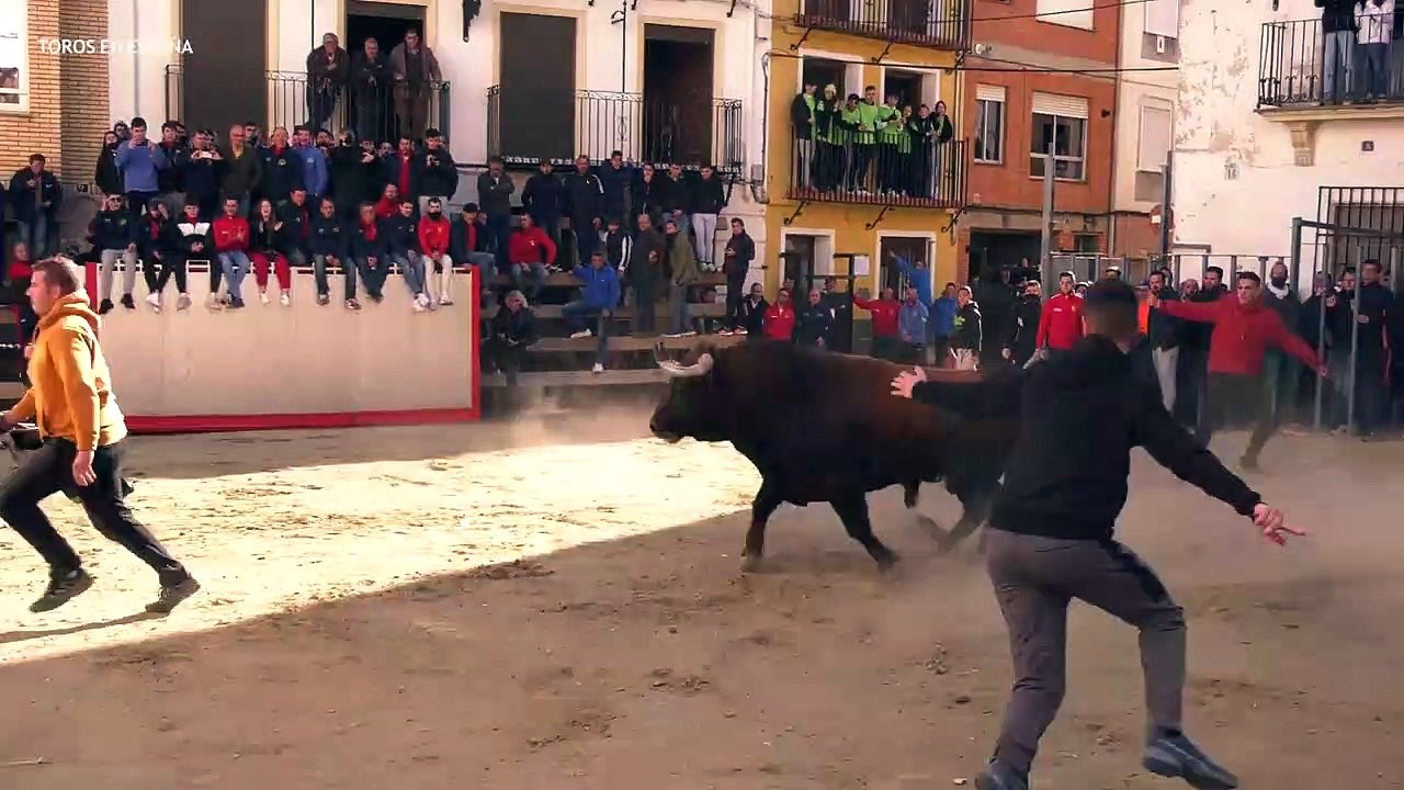 TORO